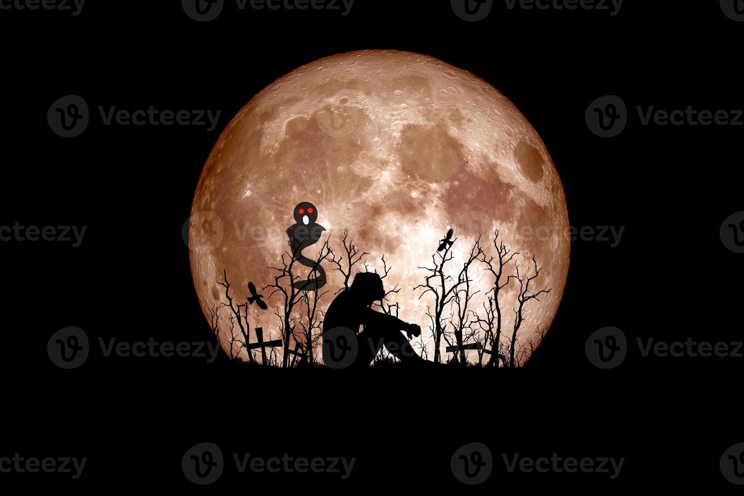 Halloween festival idea. Ghost of a dead tree with the moon in the background. photo