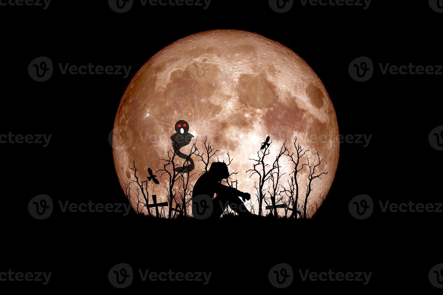 idea del festival de halloween. fantasma de un árbol muerto con la luna al fondo. foto