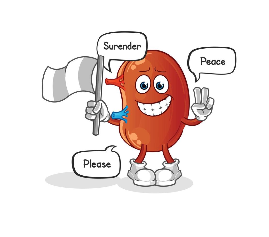 kidney cute vector