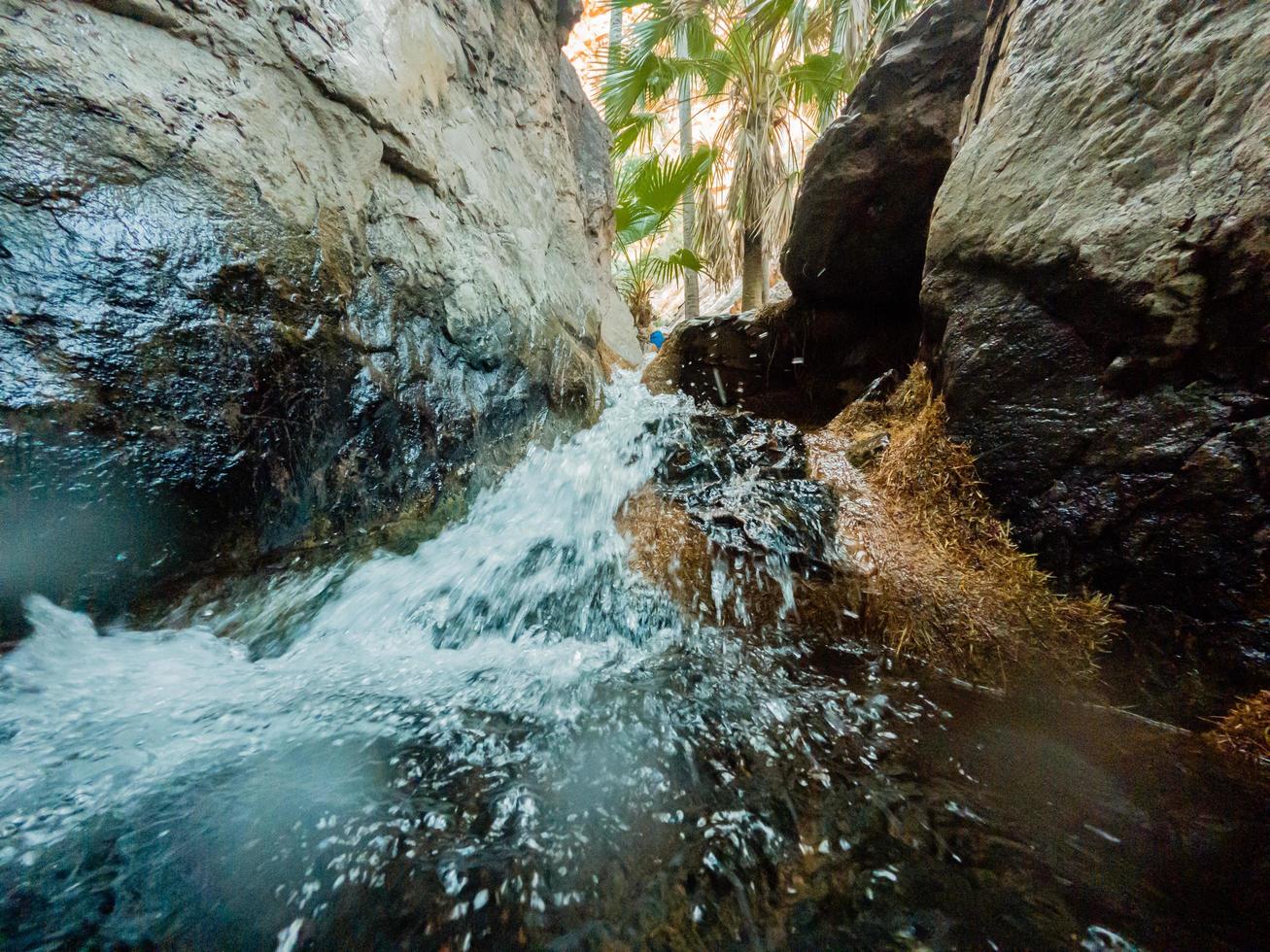 Images of Zebedee Springs WA Australia photo