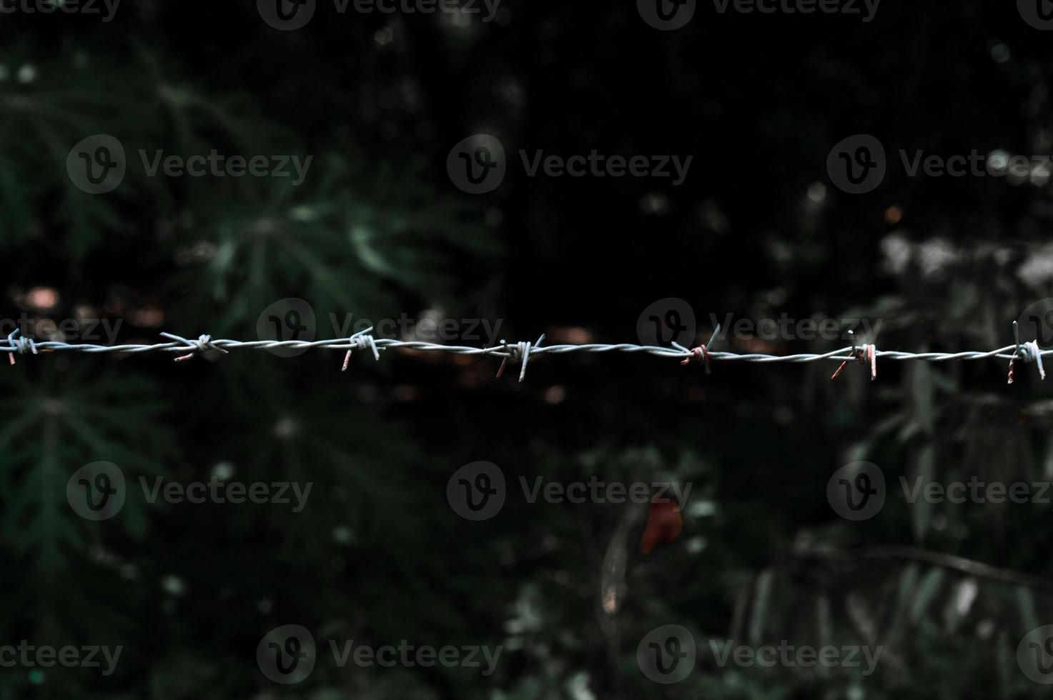 Close-up of a barbed wire fence in a restricted area. photo