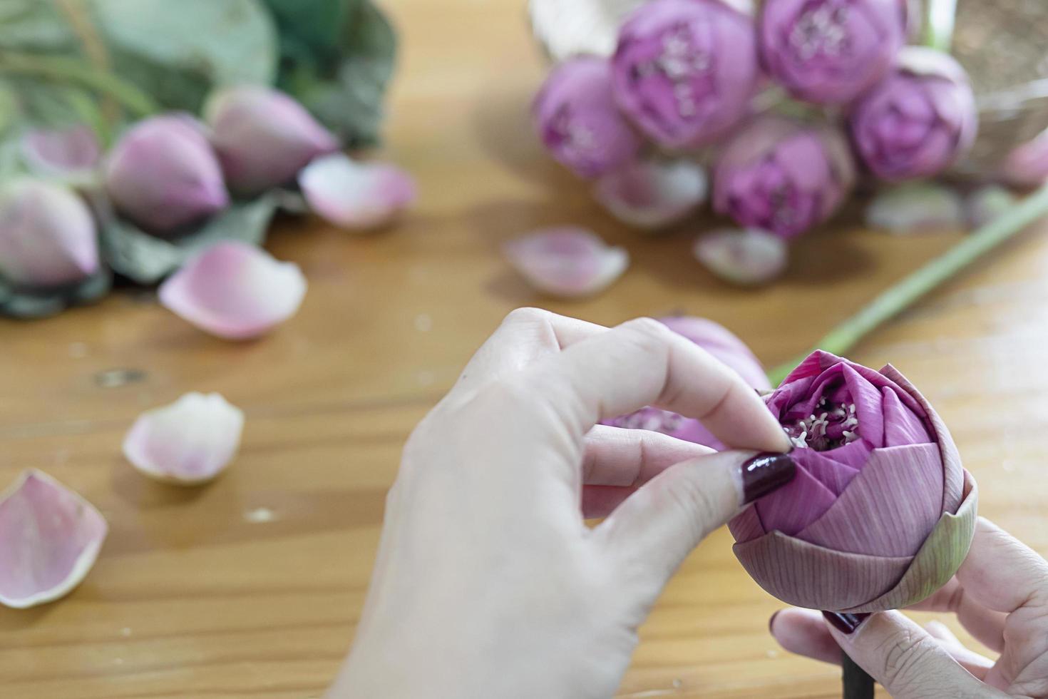 Woman folding pink lotus happily photo