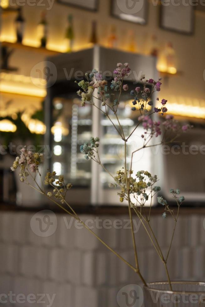 Empty cafe or bar interior, daytime photo