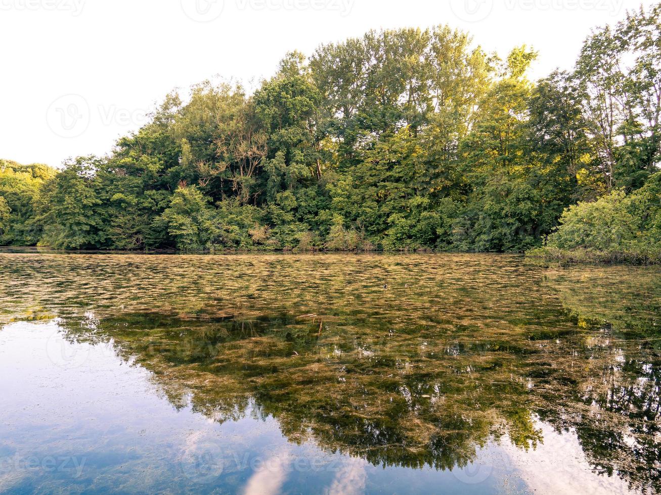 Symmetrical reflection of trees on the water surface. photo
