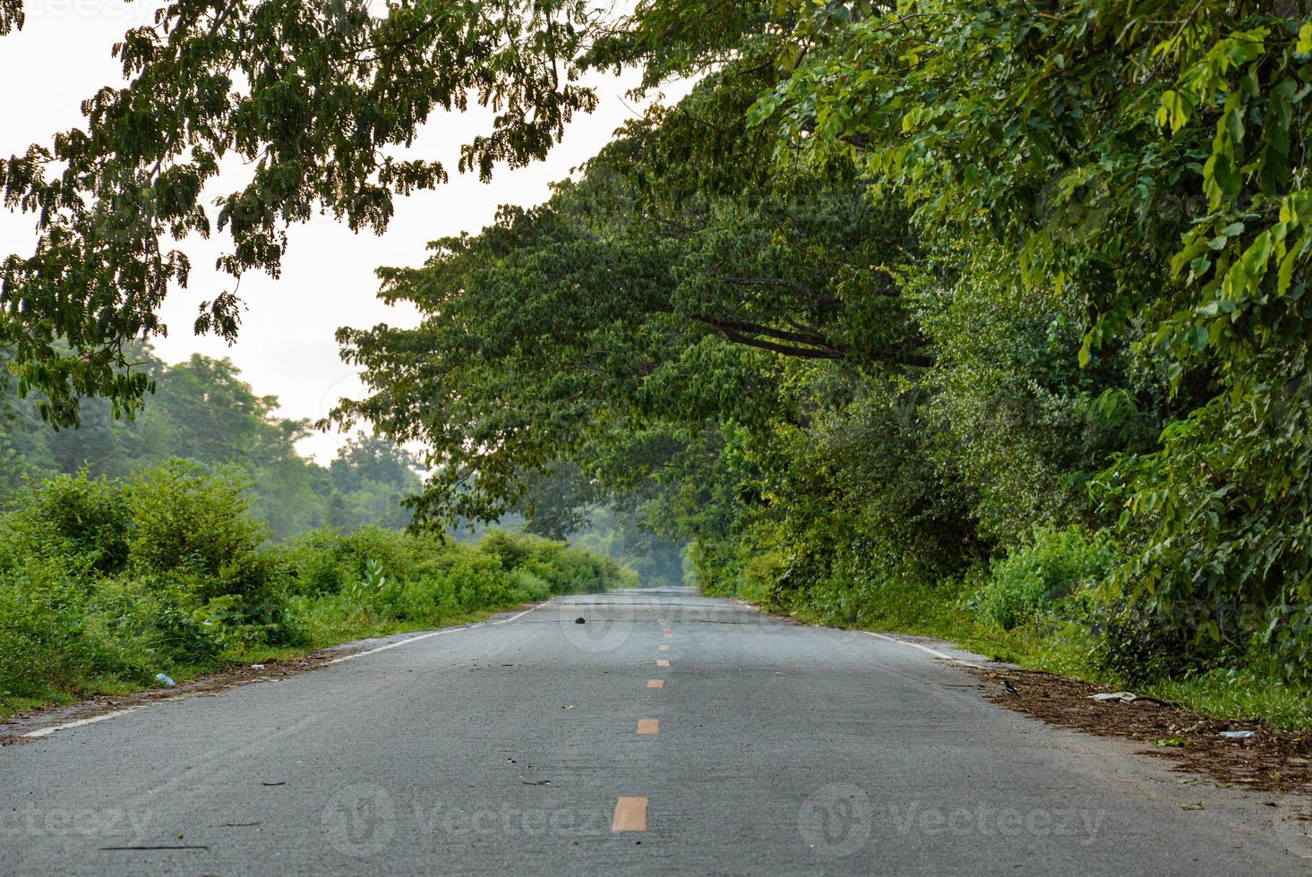 The paved road has a yellow guide line.  Surrounded by green trees. Evening time. Travel concept. Protect the environment. photo