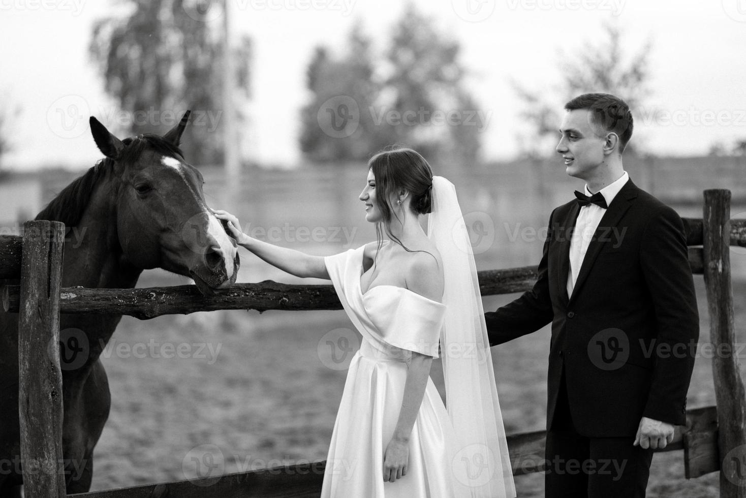 young couple the groom in a black suit and the bride in a white short dress photo