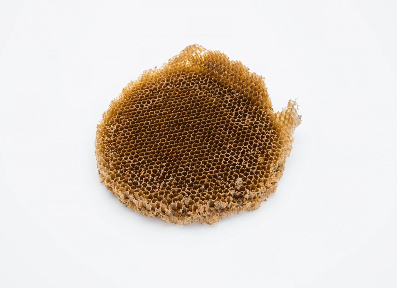 bee hive on white background photo