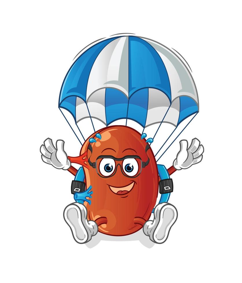 kidney cute vector