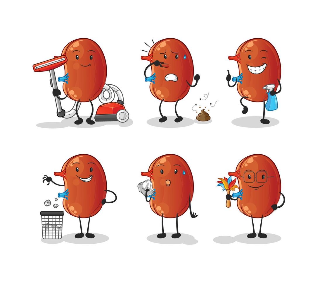 human kidney vector