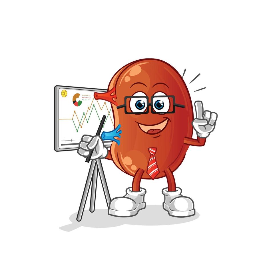 kidney cute vector