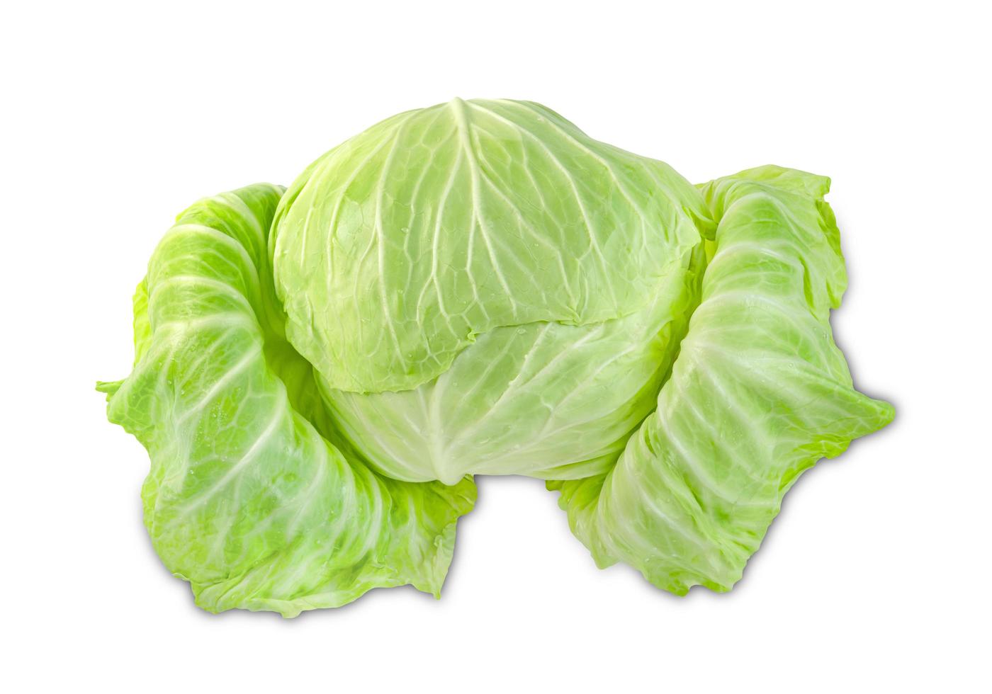 cabbage isolated on white background ,Green leaves pattern photo