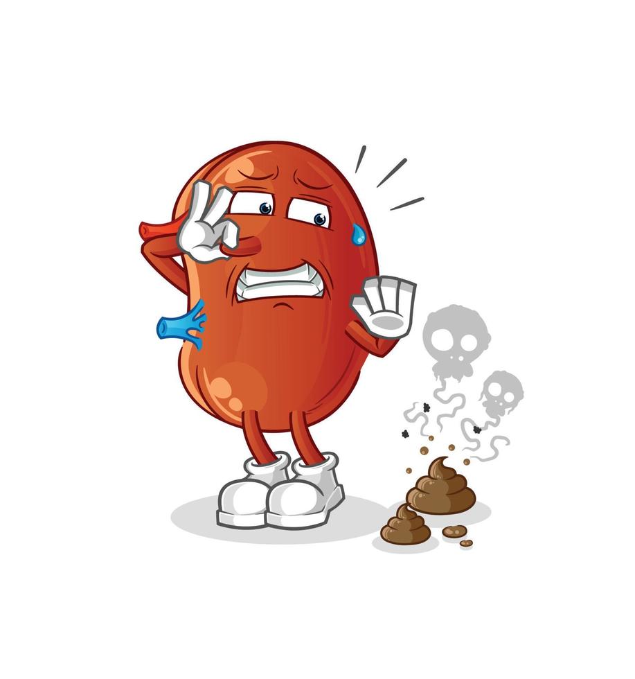 kidney cute vector