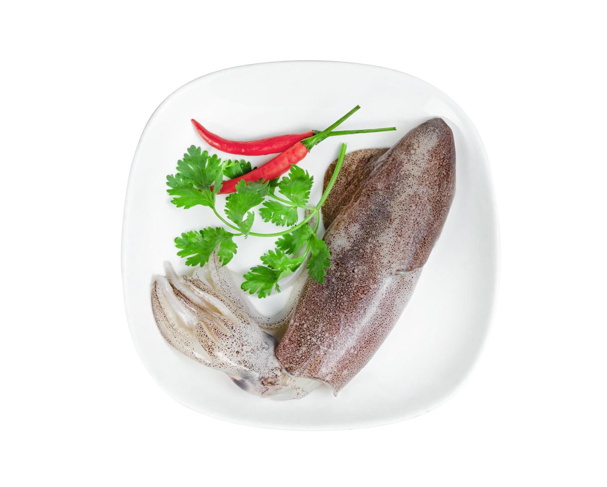 squid on dish with chili and coriander isolated on white background photo