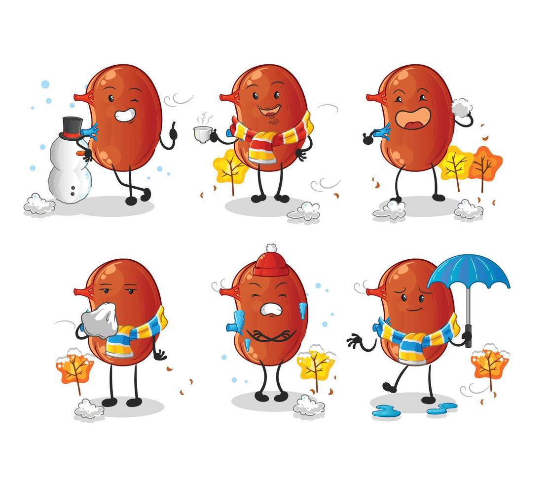 kidney mascot vector