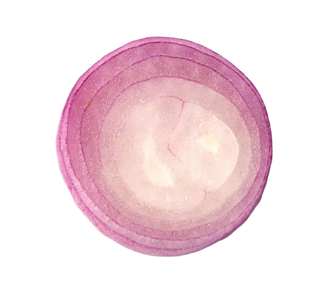 shallots onion chopped isolated on a white background photo