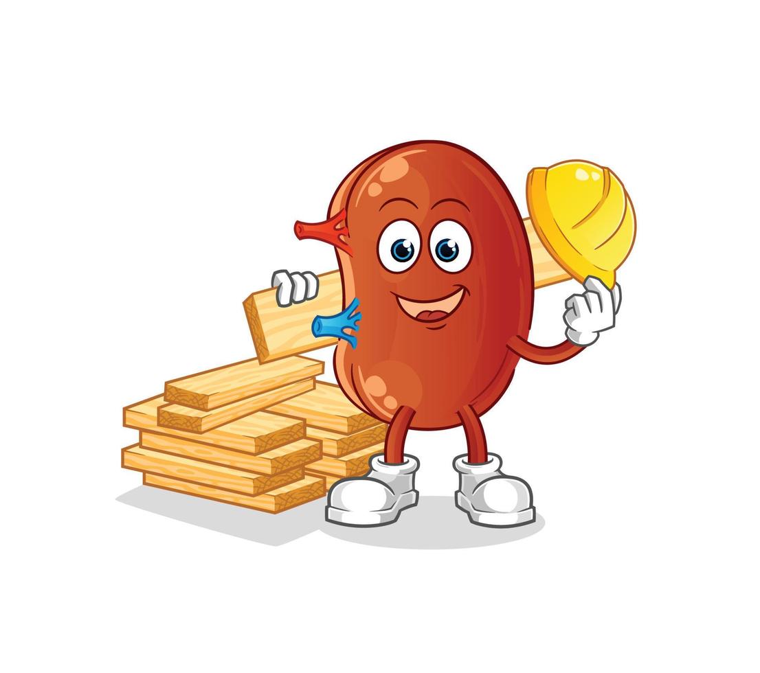 kidney cute vector