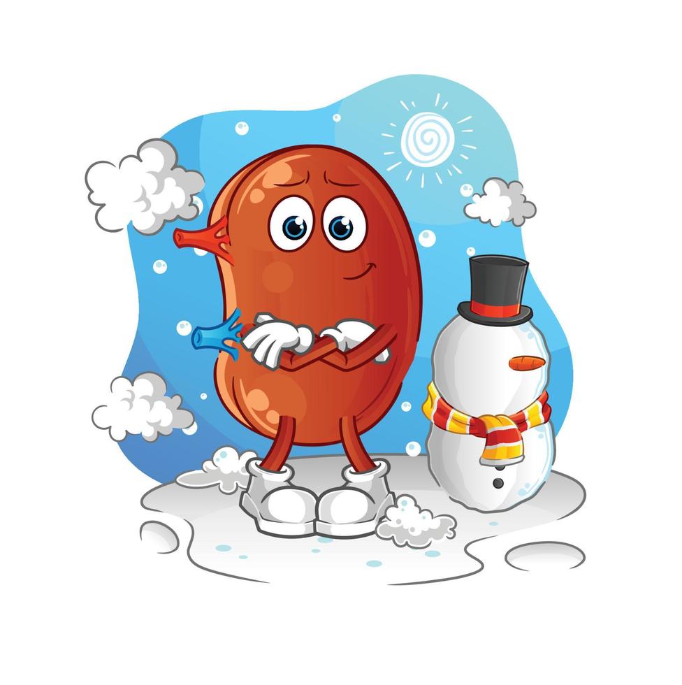 human kidney vector