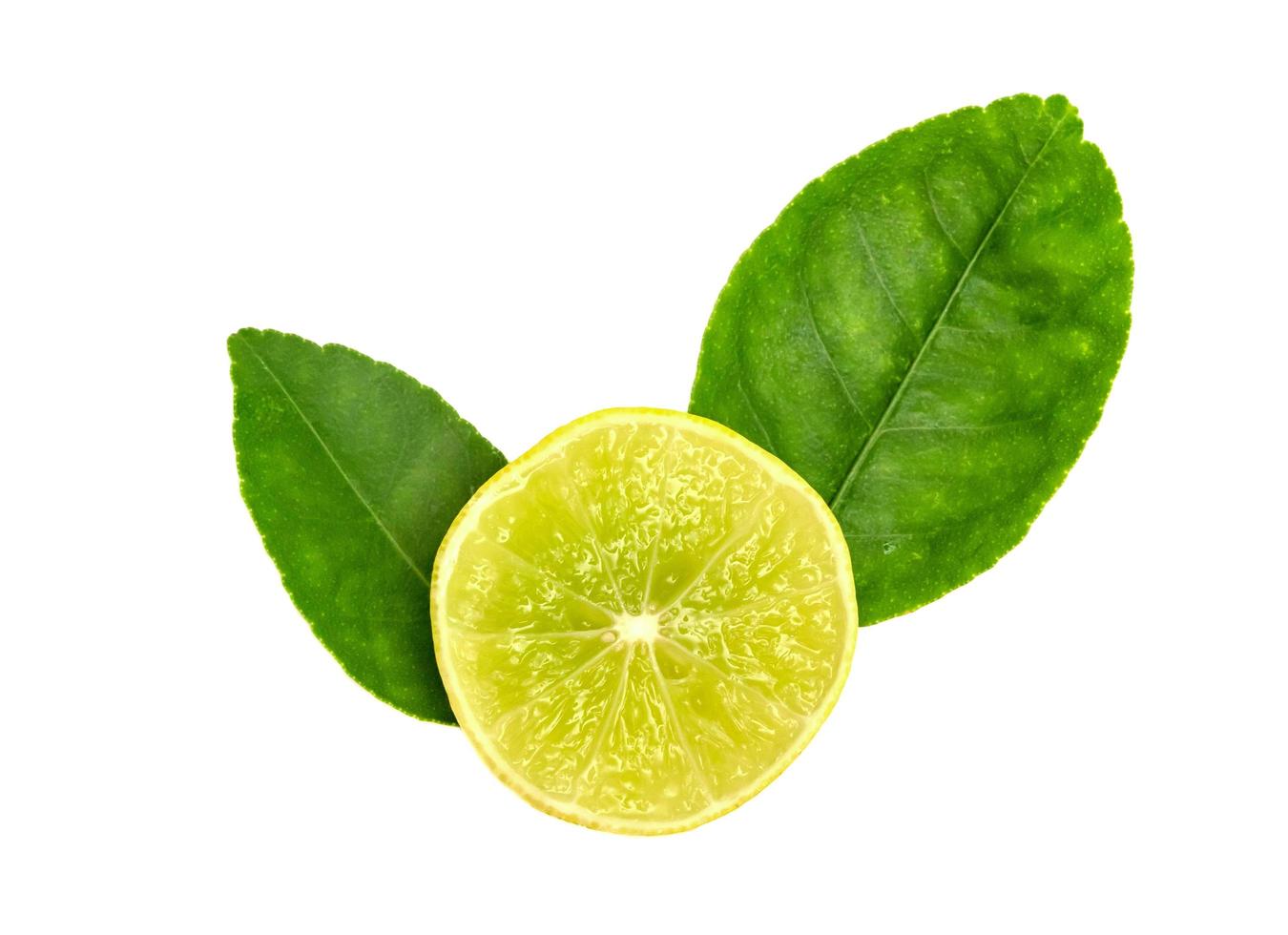 Yellow lemon slice and leaves isolated on white background photo