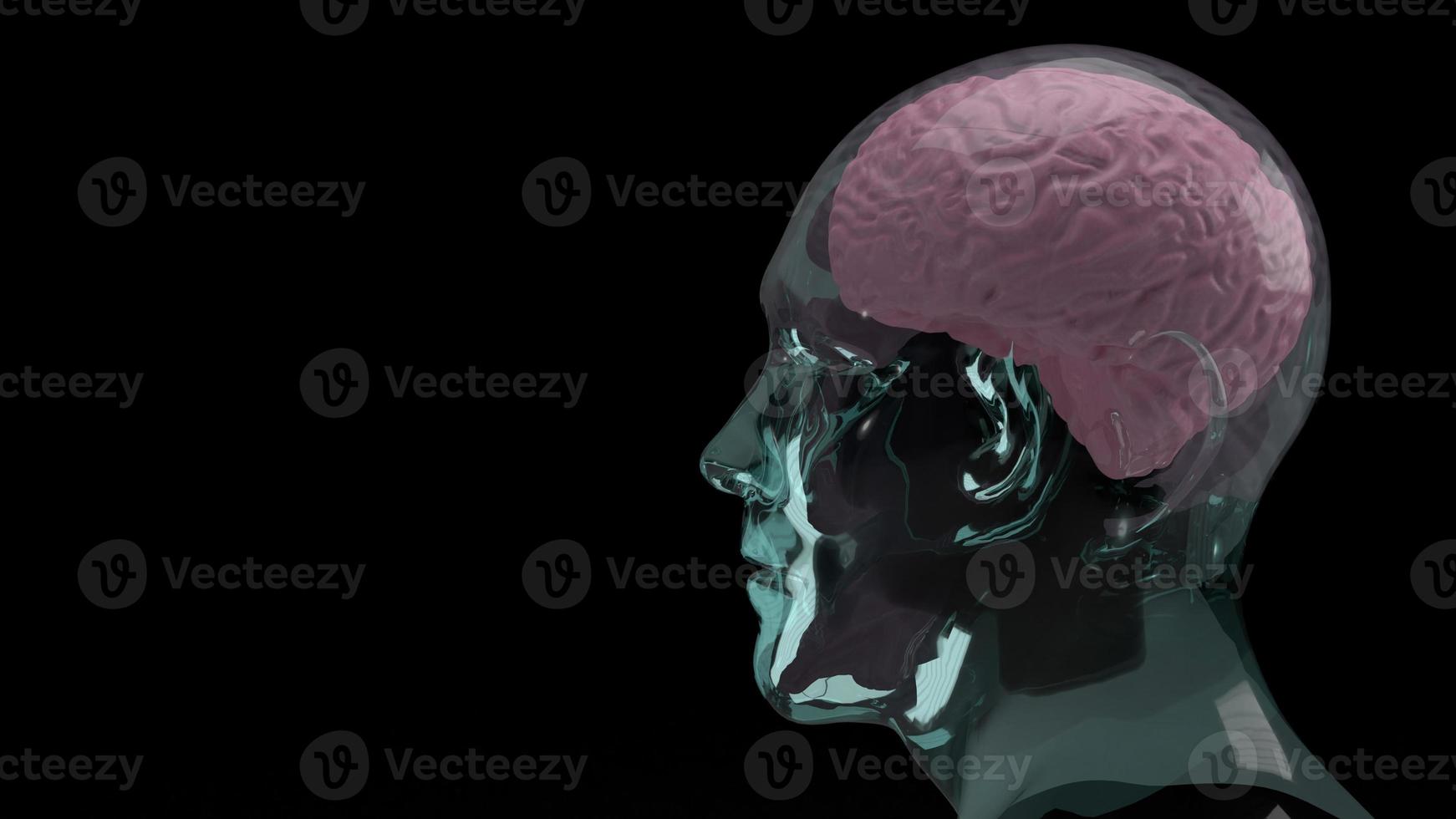 el cerebro dentro de la cabeza de cristal para la educación o la representación 3d de contenido científico foto