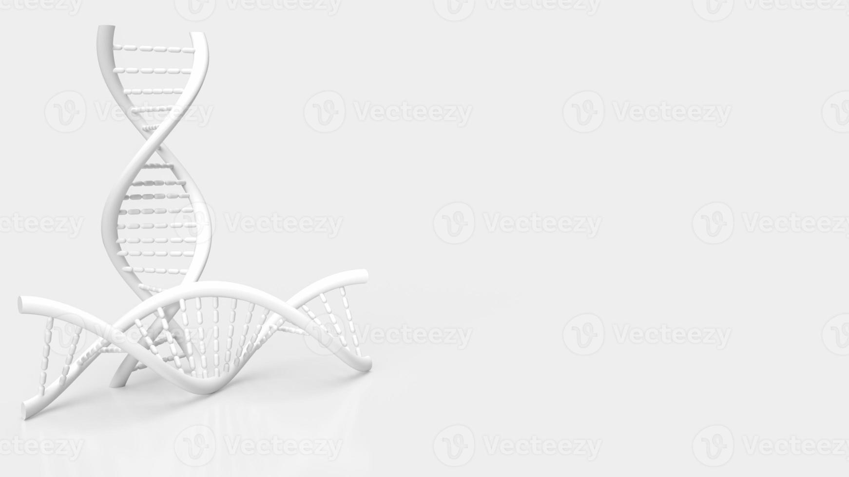 white dna on white background for science or medical  concept 3d rendering photo