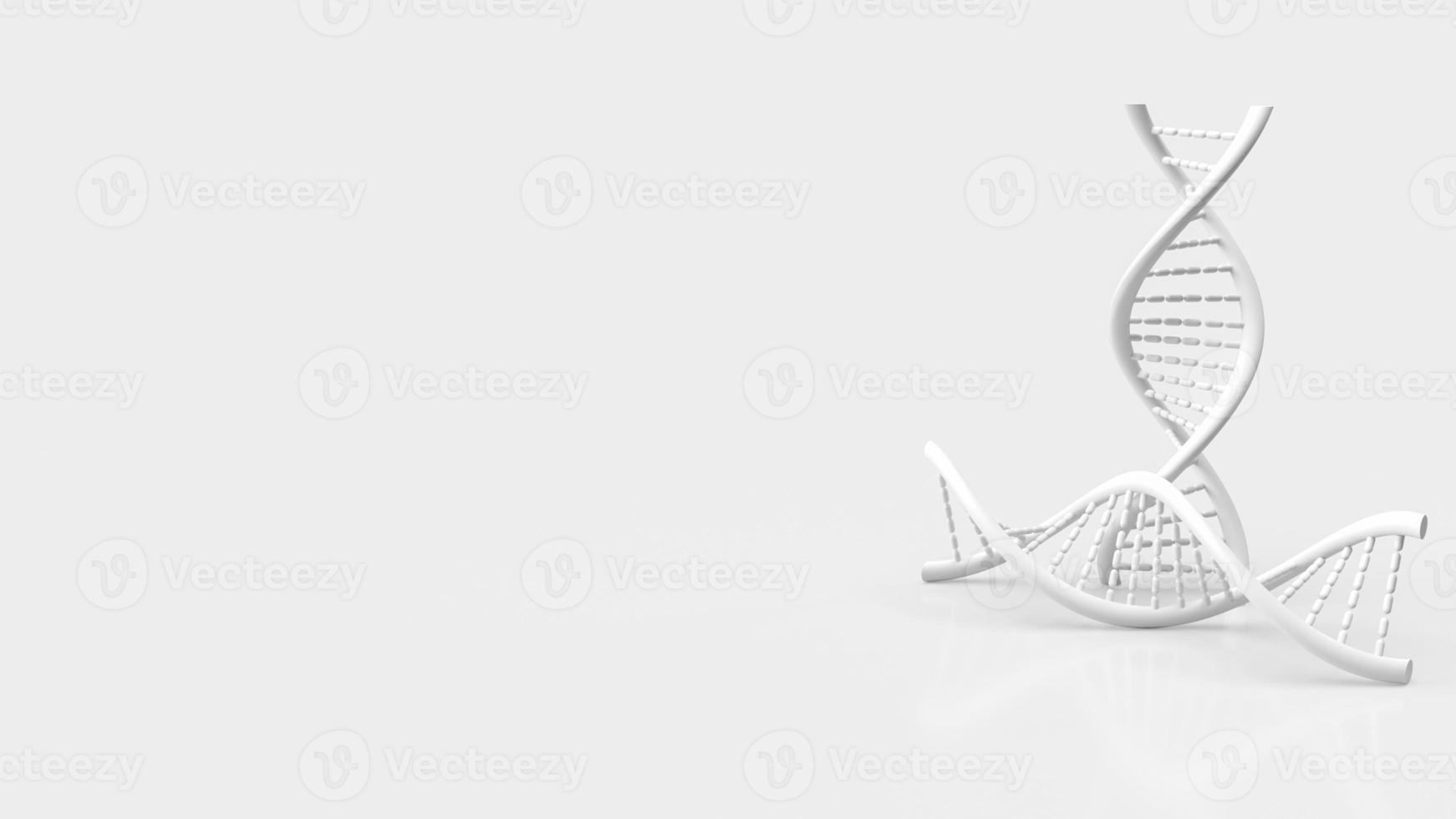 white dna on white background for science or medical  concept 3d rendering photo