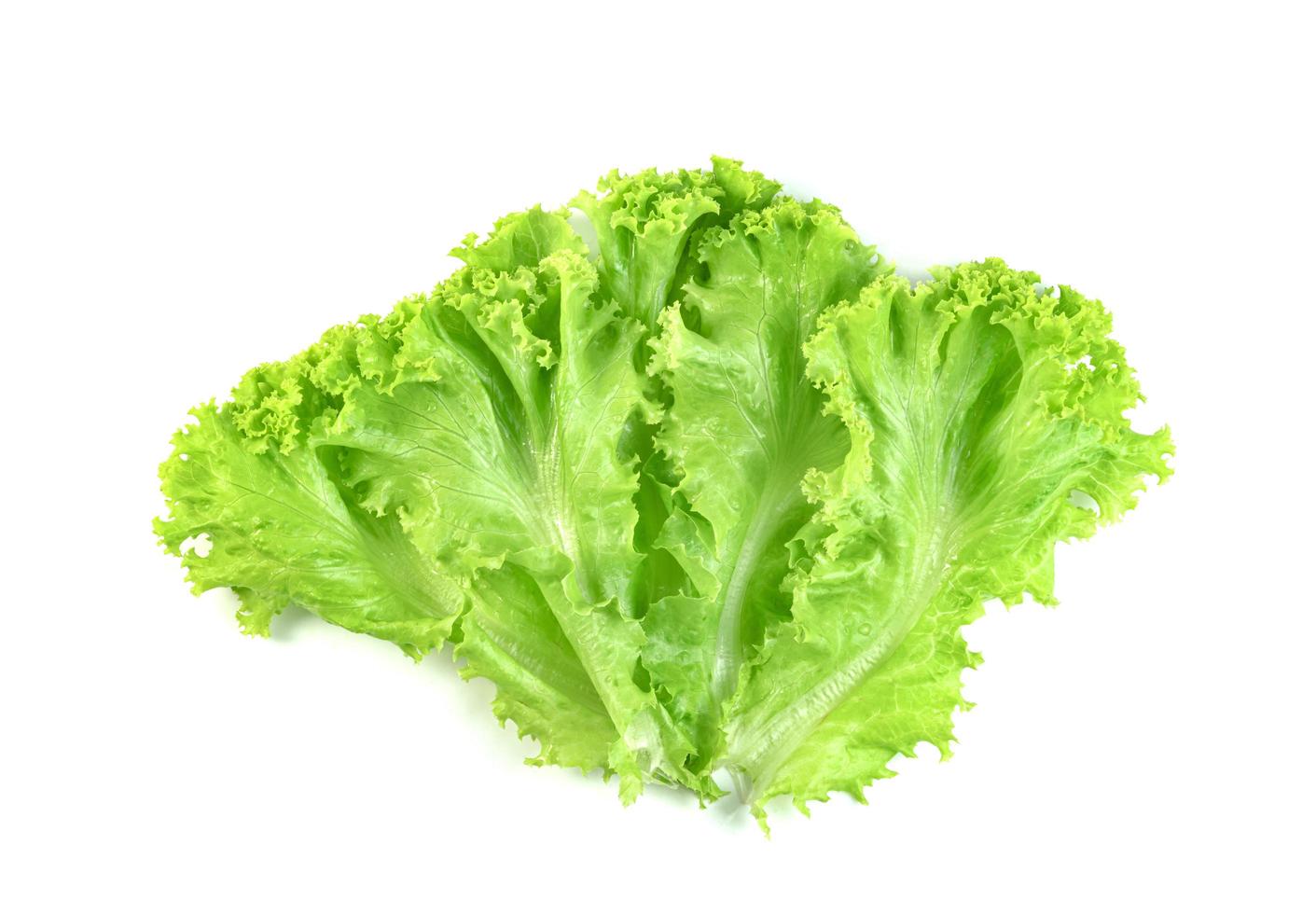 Lettuce leaf isolated on white background ,Green leaves pattern ,Salad ingredient photo