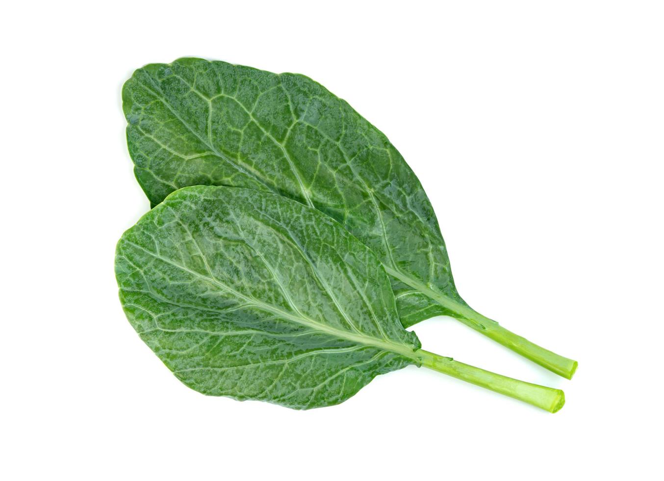 Chinese kale isolated on white background ,Green leaves of collards pattern photo