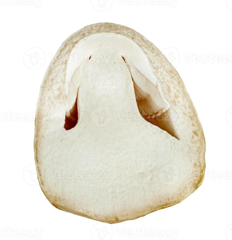Straw mushroom isolated on white background photo