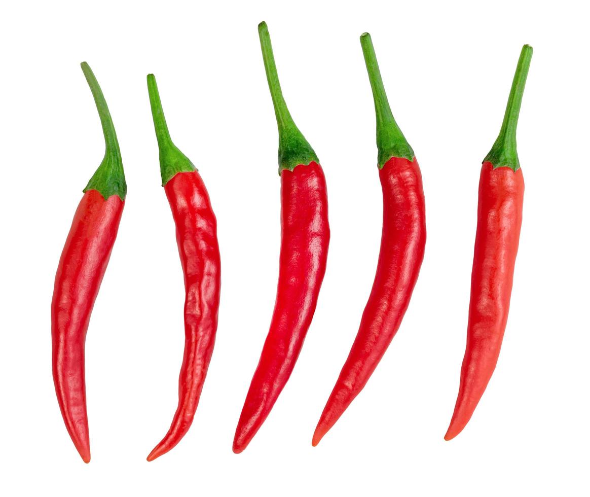 chili pepper isolated on white background photo