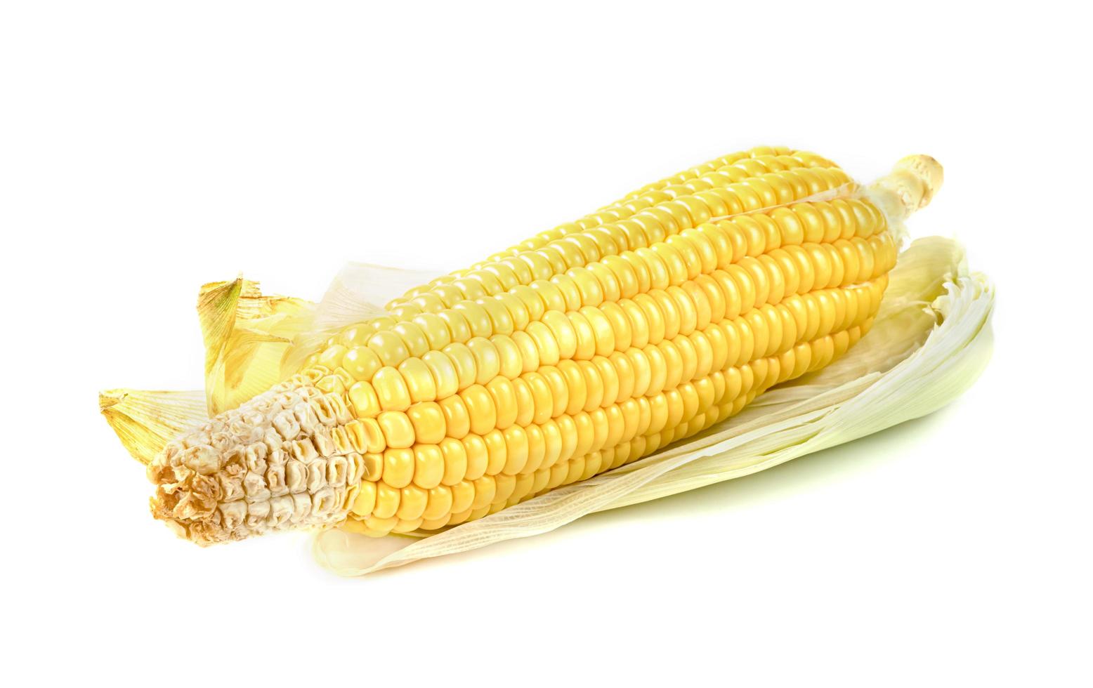 maíz aislado sobre fondo blanco foto