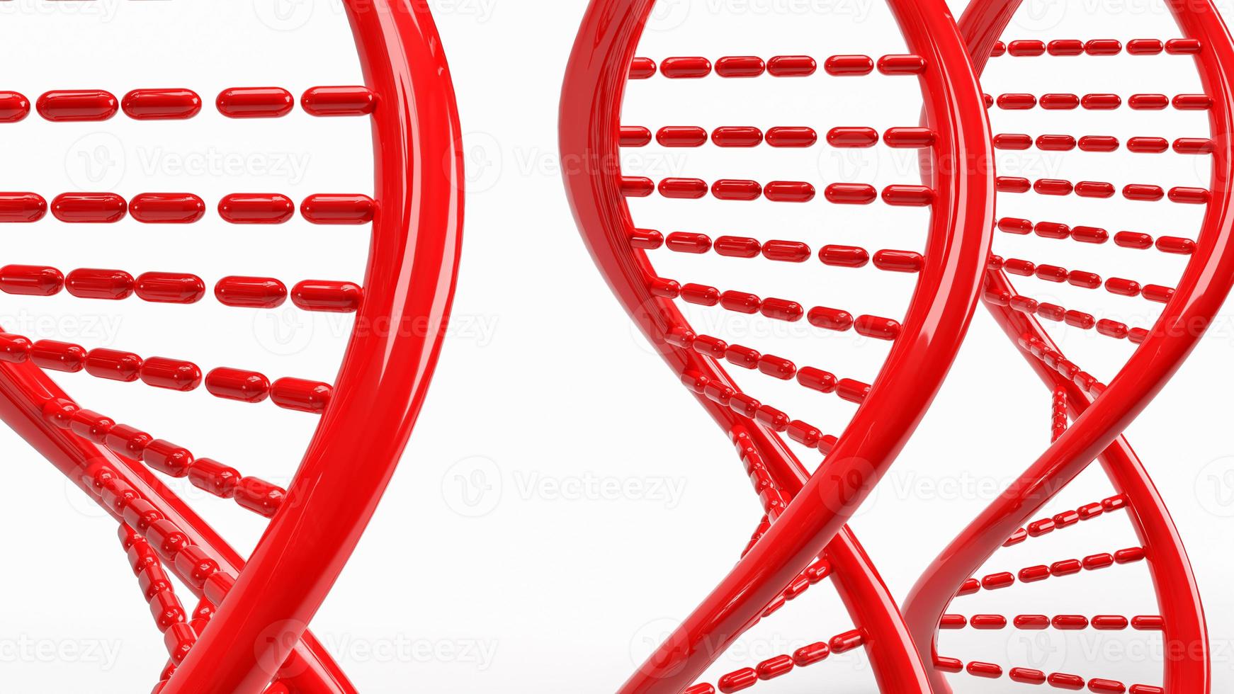 The red dna on white background for sci or medical concept 3d rendering photo