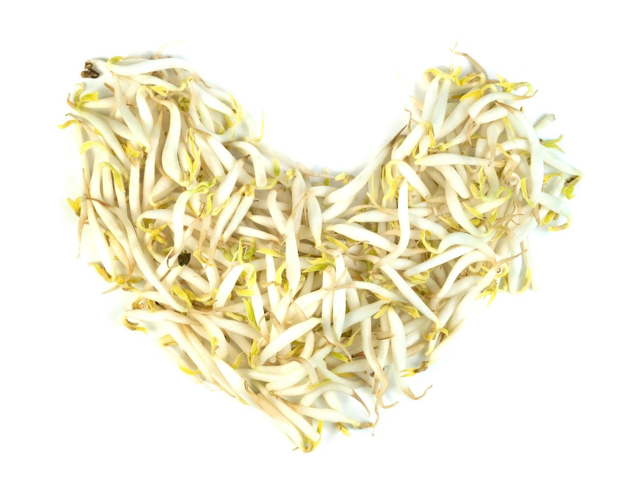 Bean Sprouts isolated on white background photo