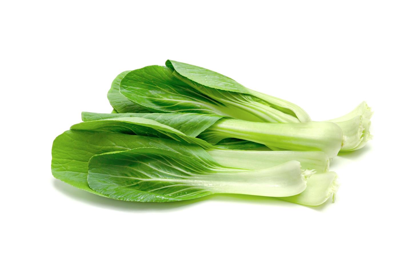 chinese mustard leaf isolated on white background ,Green leaves pattern photo