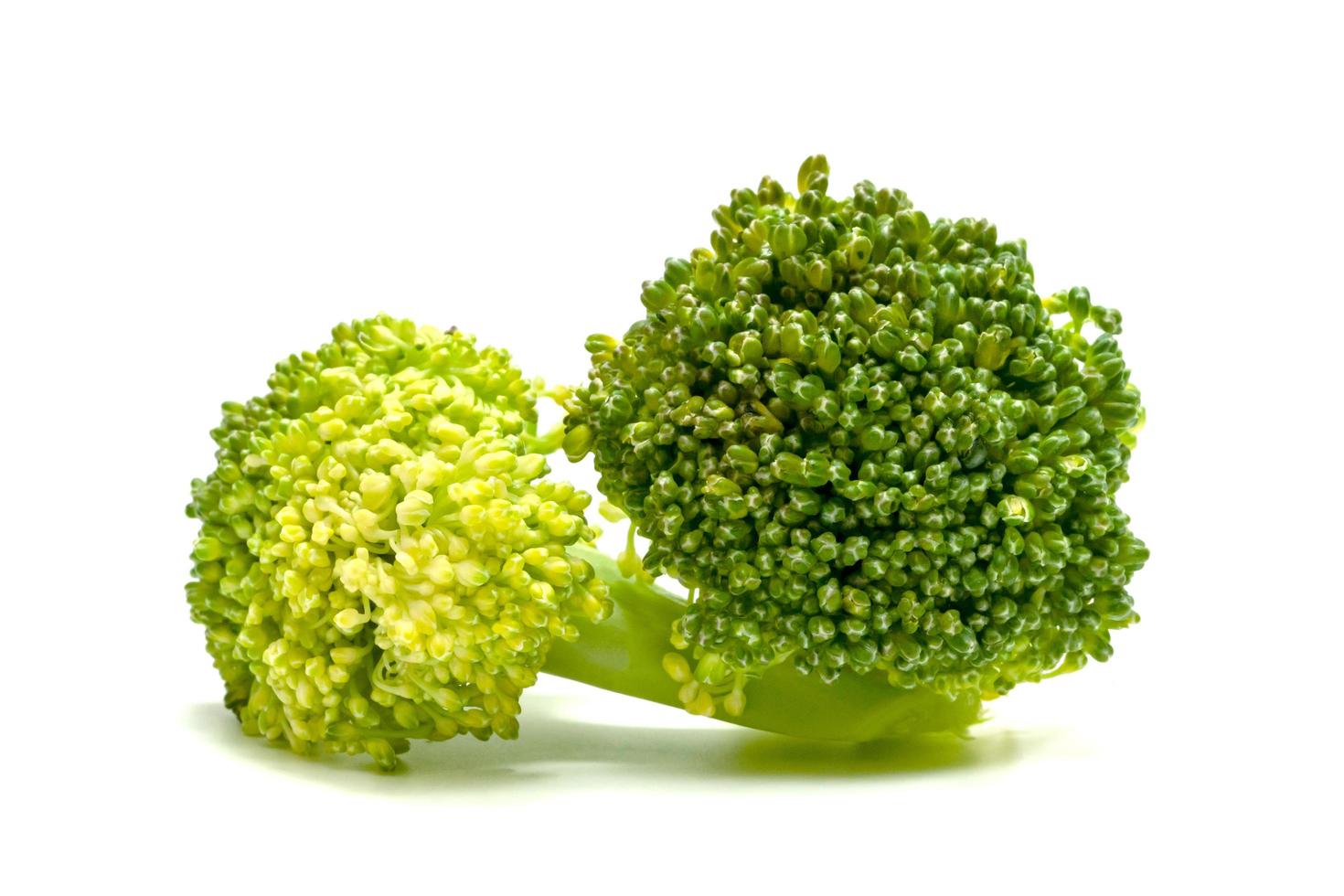 Fresh broccoli isolated on white background photo