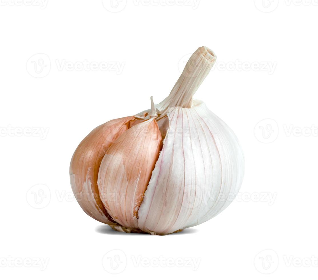 garlic isolated on white background ,include clipping path photo