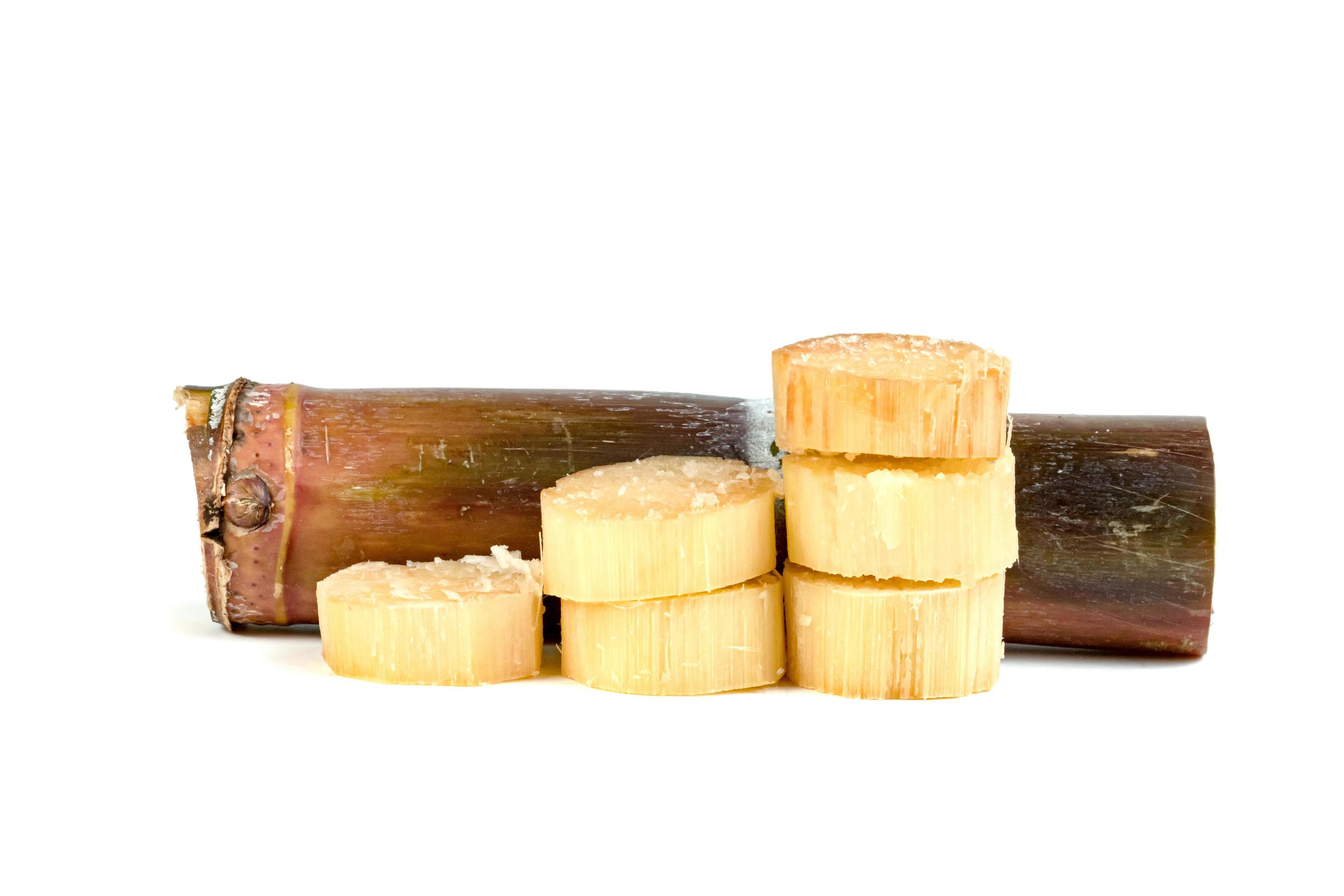sugar cane isolated on white background 10123284 Stock Photo at Vecteezy