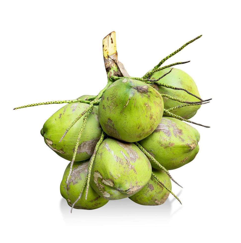 coconut tropical fruit isolated on white background ,include clipping path photo