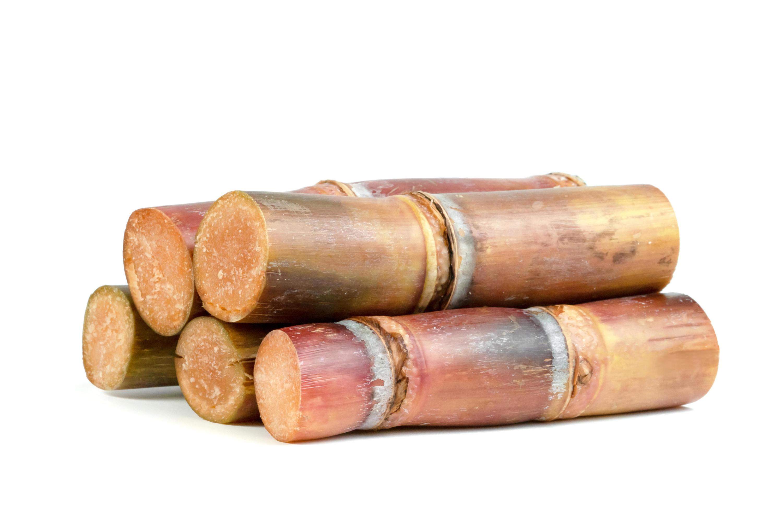sugar cane isolated on white background 10123376 Stock Photo at Vecteezy