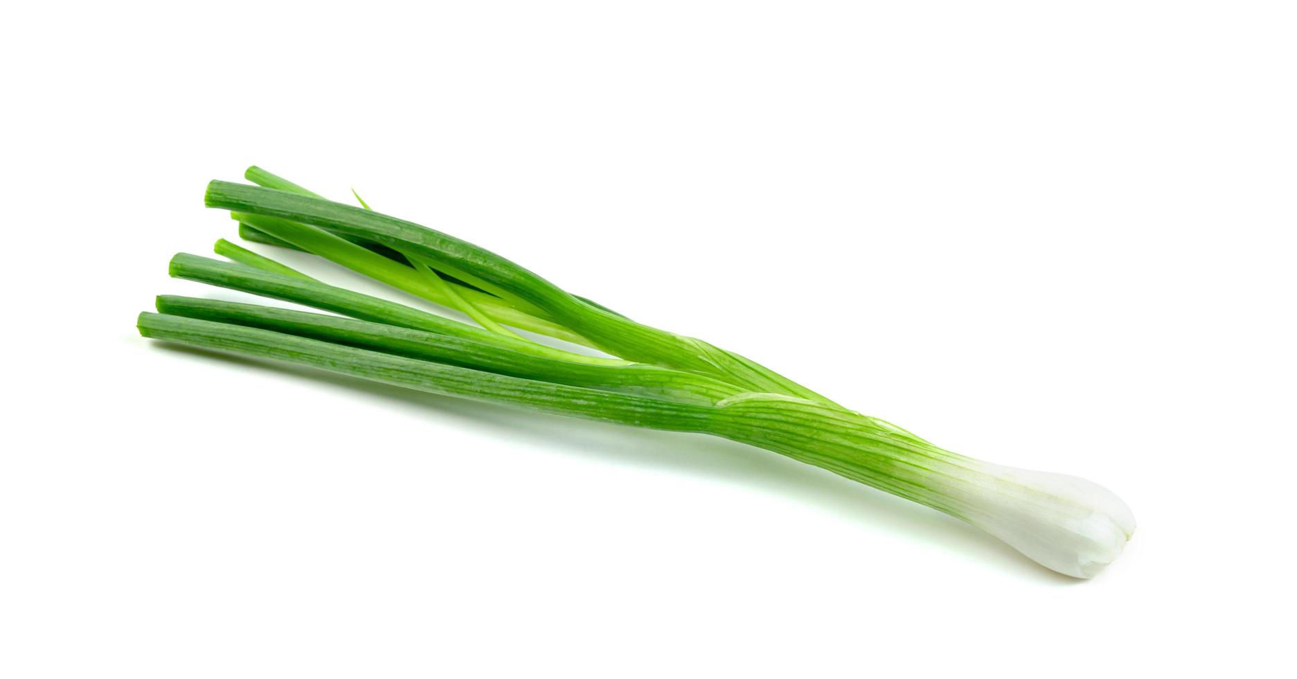 leaf spring onion isolated on white background ,Green leaves pattern photo