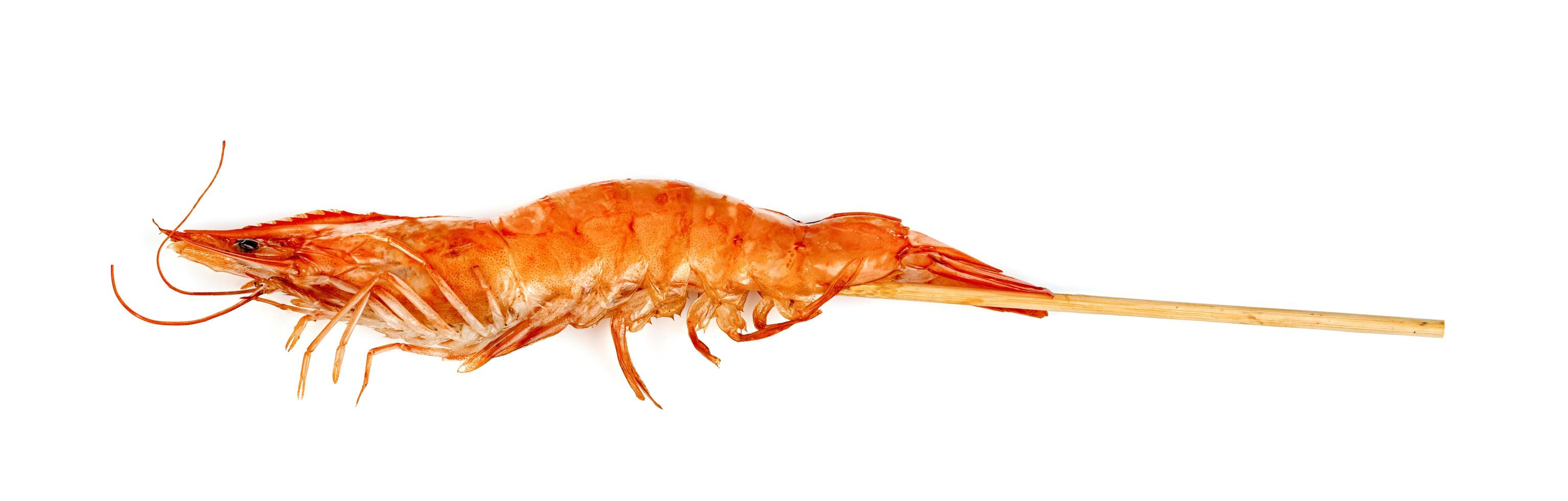 roasted prawn with skewer isolated on white background ,grilled shrimp photo