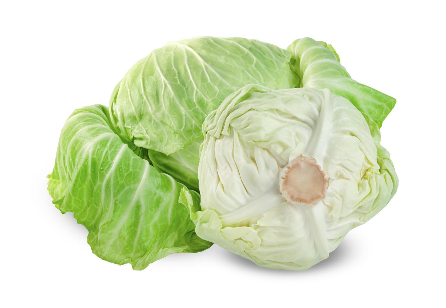 cabbage isolated on white background ,Green leaves pattern photo