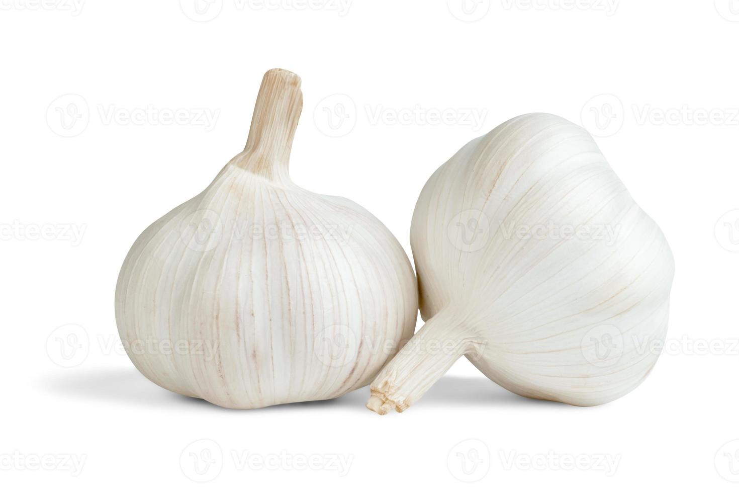 garlic isolated on white background ,include clipping path photo