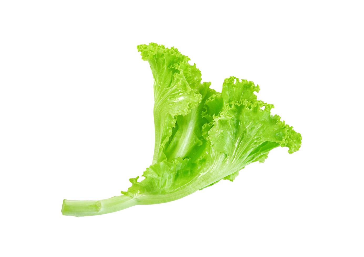 Lettuce leaf isolated on white background ,Green leaves pattern ,Salad ingredient photo