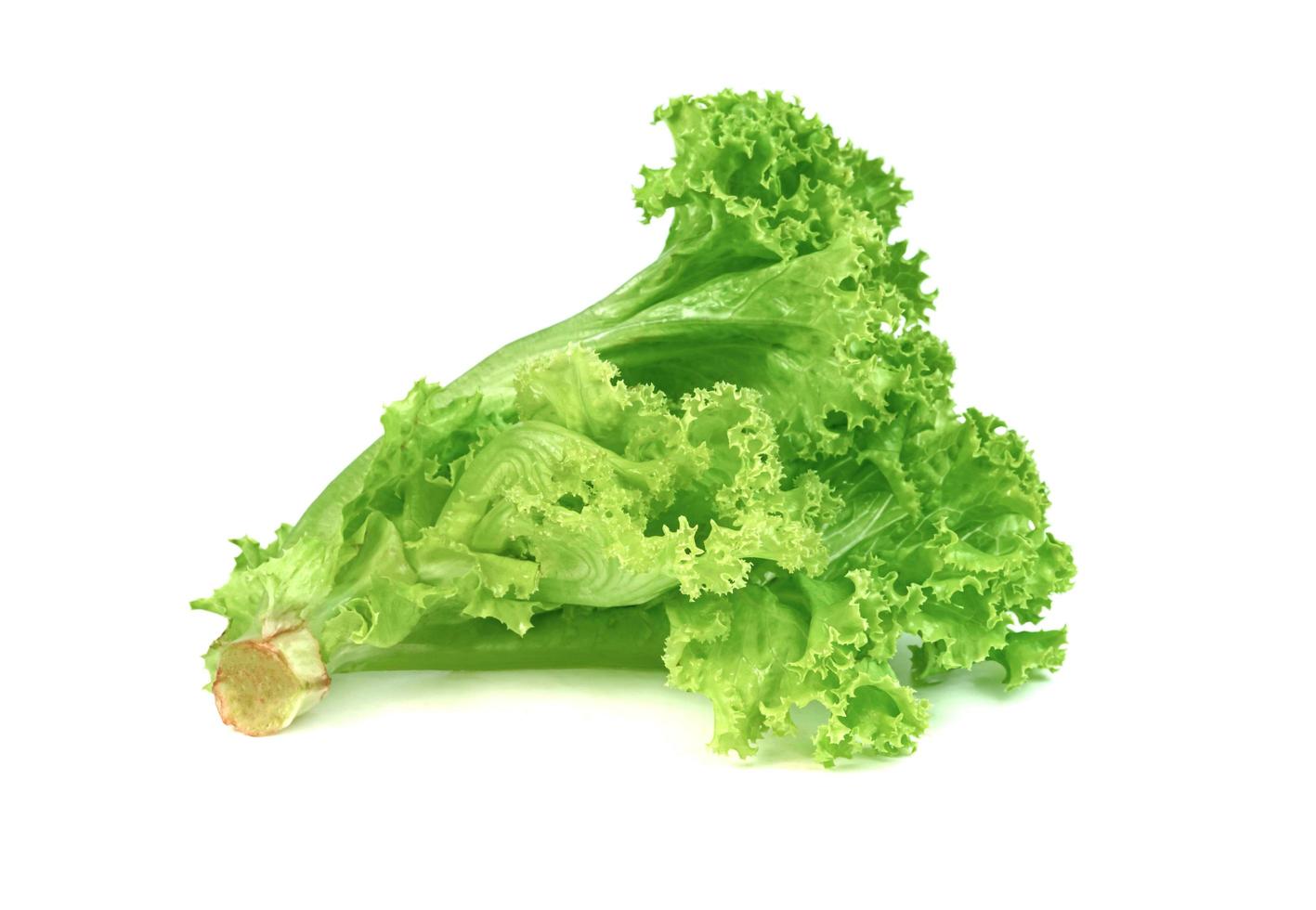 Lettuce leaf isolated on white background ,Green leaves pattern ,Salad ingredient photo