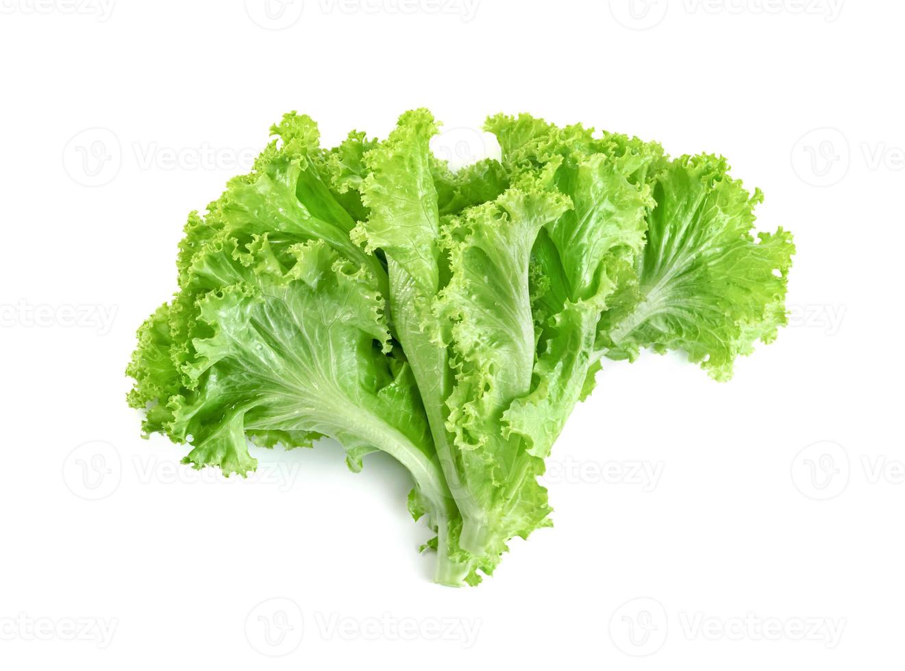 Lettuce leaf isolated on white background ,Green leaves pattern ,Salad ingredient photo