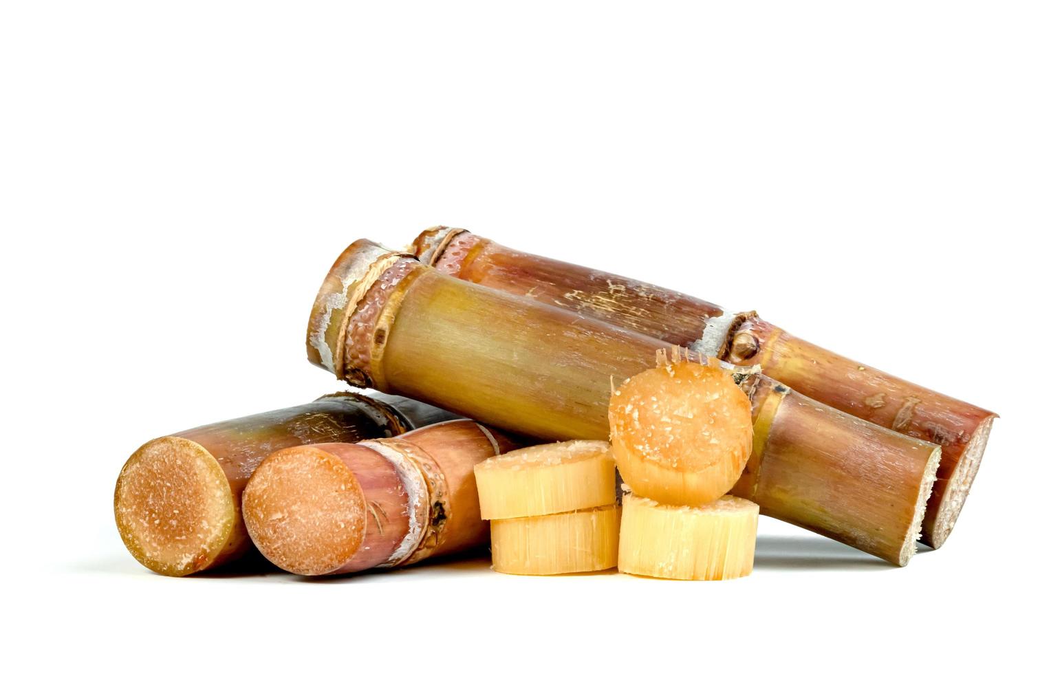 sugar cane isolated on white background photo