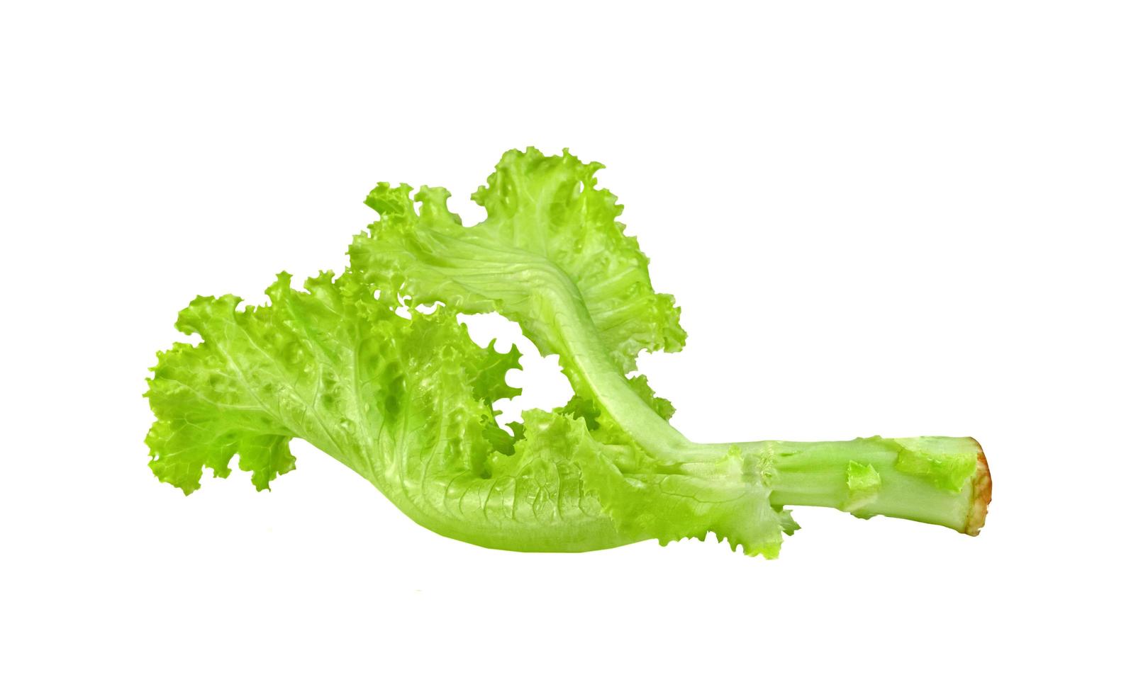 Lettuce leaf isolated on white background ,Green leaves pattern ,Salad ingredient photo