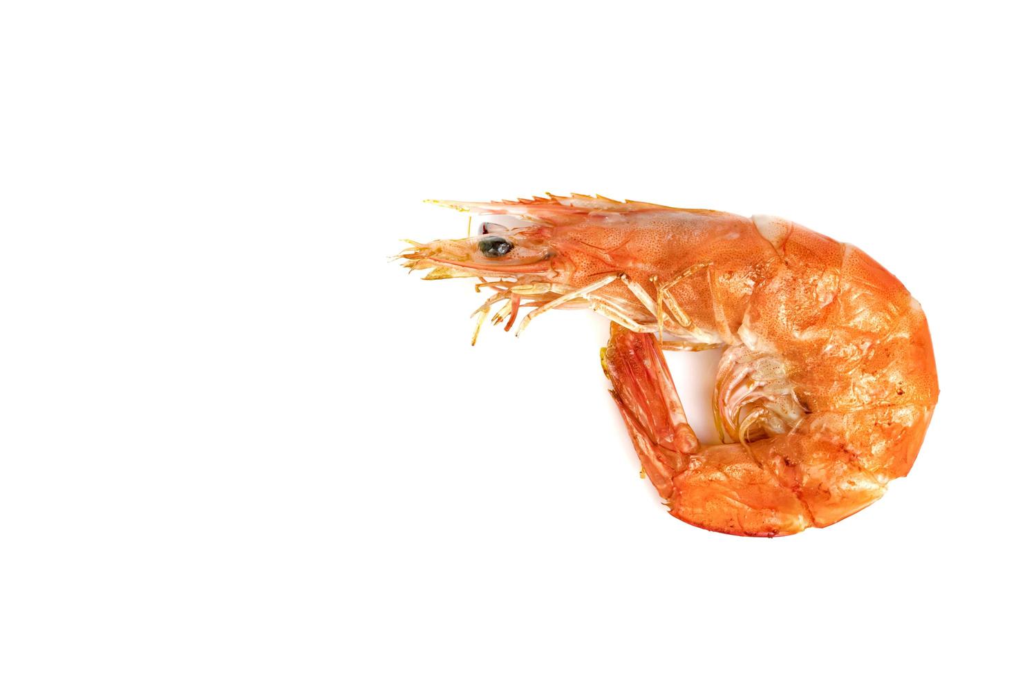 roasted prawn isolated on white background ,grilled shrimp photo