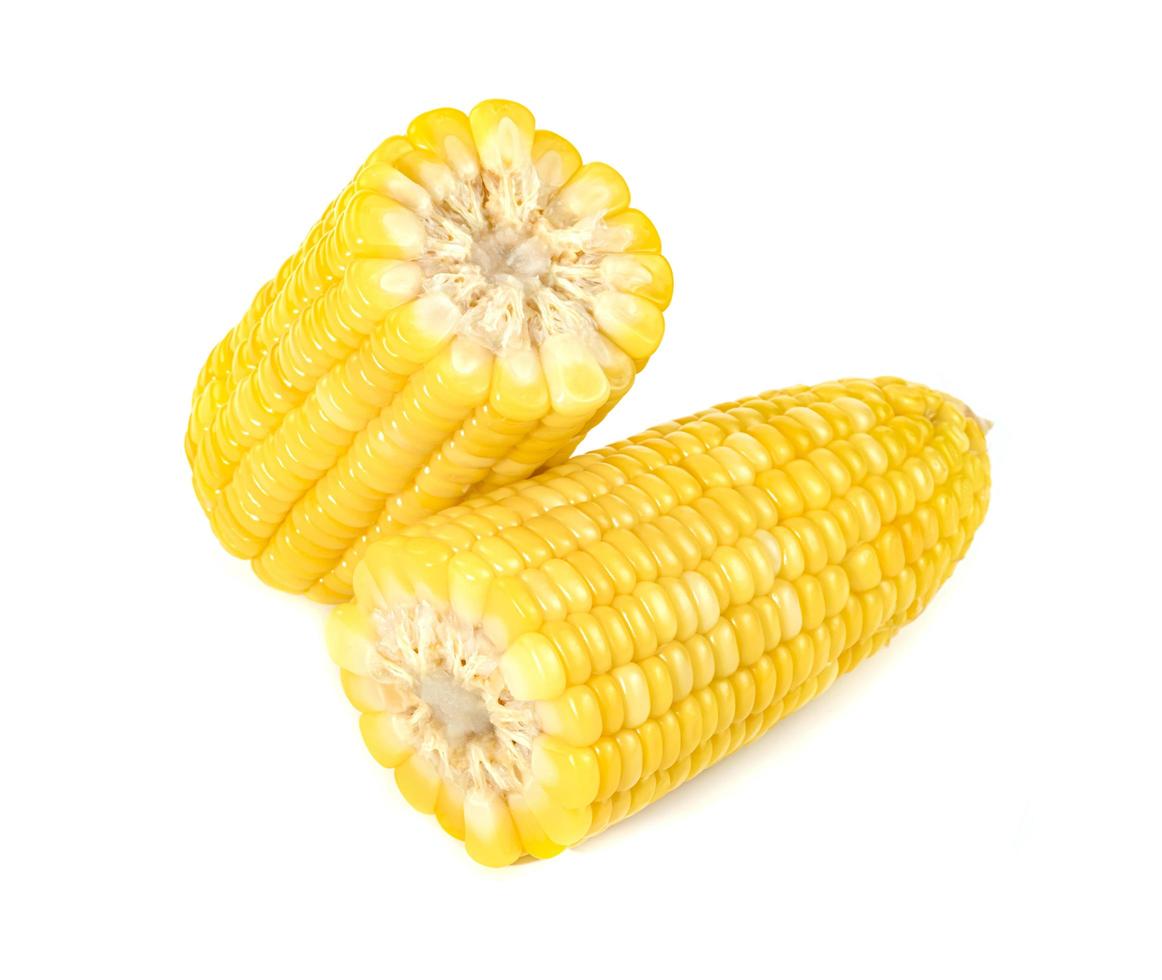 sweet corn isolated on white background photo