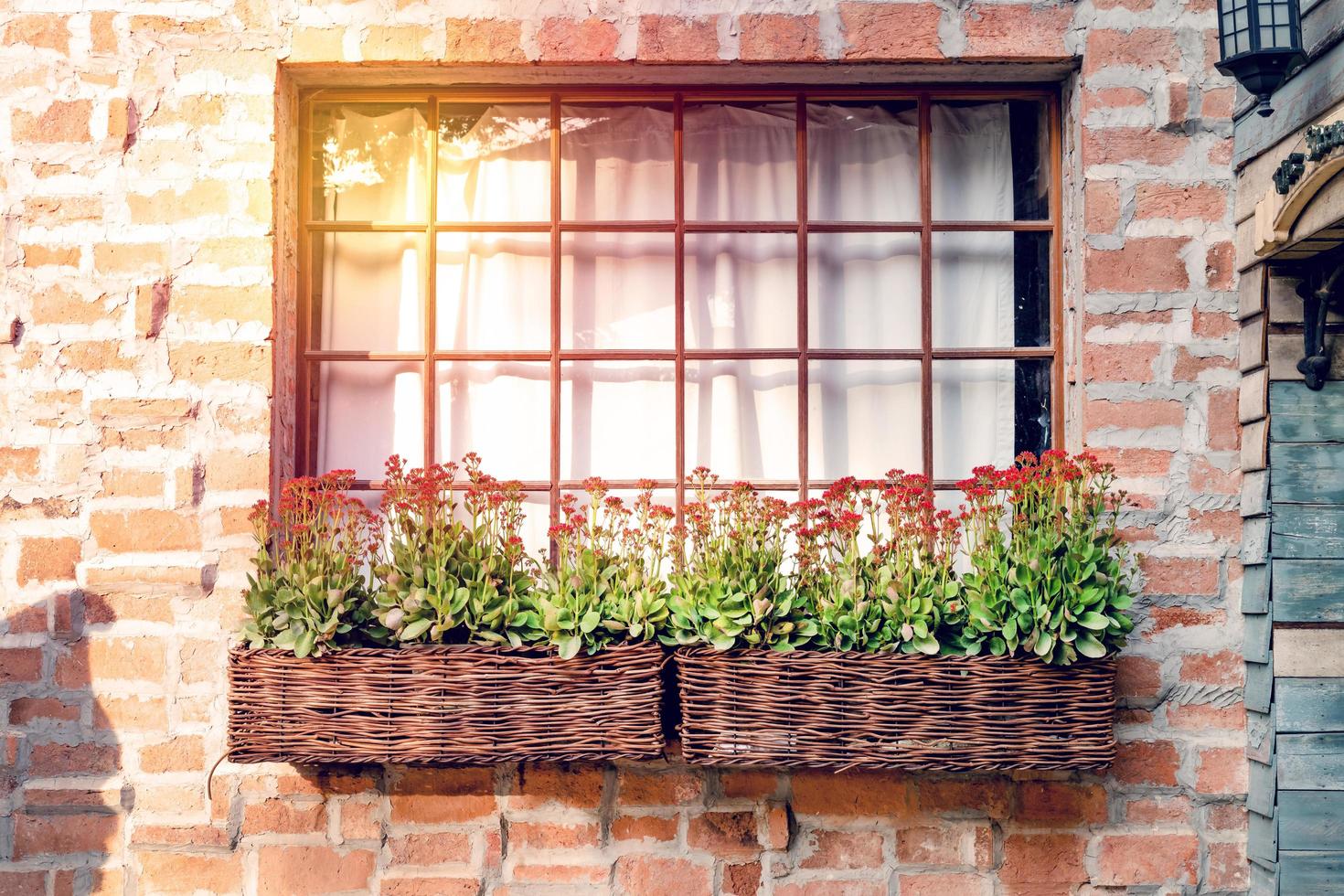 Vintage window with flowerpot on brick wall background photo